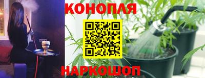 сатива Чебоксары