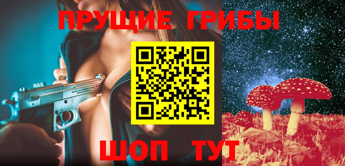 Псилоцибиновые грибы Cubensis Брянск
