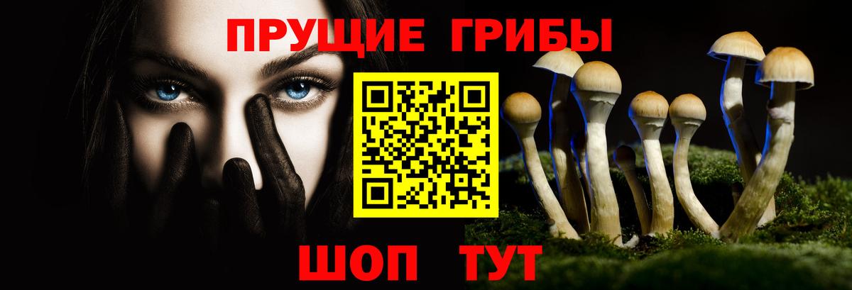Брянск  Галлюциногенные грибы мухоморы  Вход с VPN 